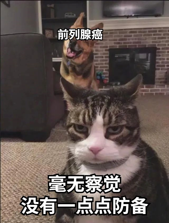 202306211817414937.Png